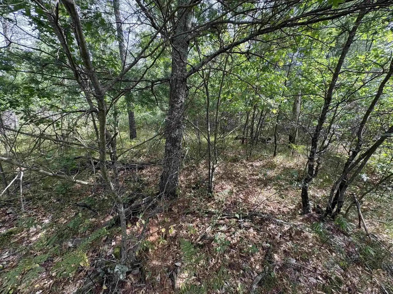 Photo 3 of Sale Pending at W11260 Halhweg Rd, Athelstane, WI 54104 | MLS# 50331940 | Listing updated on 2026-09-05