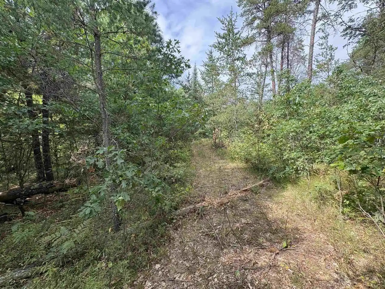 Photo 3 of Sale Pending at W11260 Halhweg Rd, Athelstane, WI 54104 | MLS# 50331940 | Listing updated on 2026-09-05