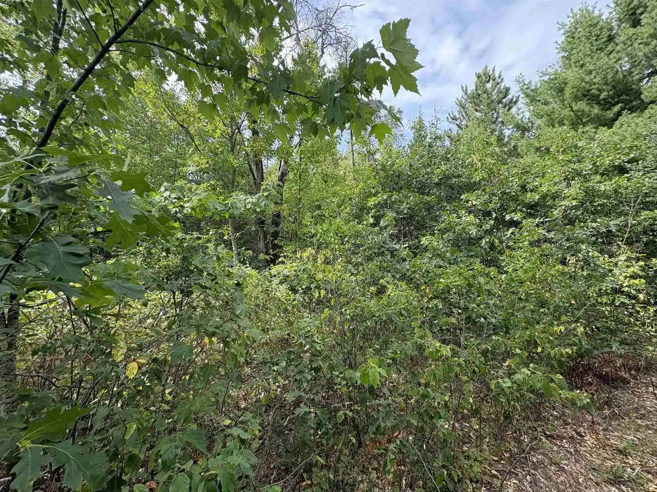 Photo 4 of Sale Pending at W11260 Halhweg Rd, Athelstane, WI 54104 | MLS# 50331940 | Listing updated on 2026-09-05