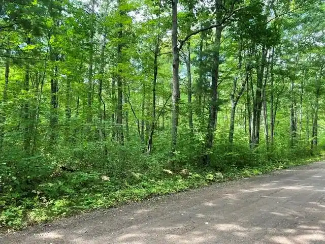 Photo 1 of Land for sale at 0 Dixon Ave, Hayward, WI 54843 | MLS# 1604724 | Listing updated on 2026-08-31