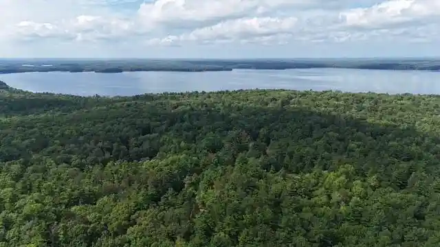 Photo 1 of Land for sale at 0 Dixon Ave, Hayward, WI 54843 | MLS# 1604724 | Listing updated on 2026-08-31