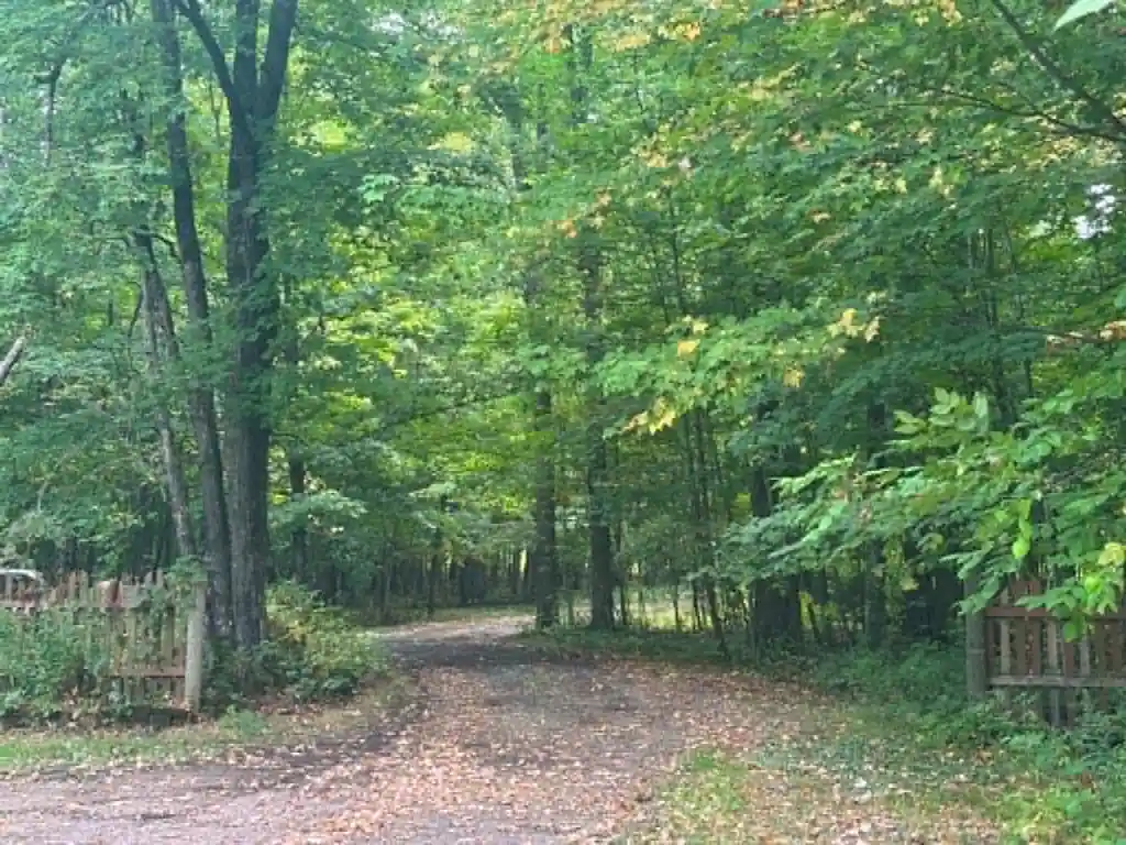 Photo 2 of Single family home for sale at N13638 Dickerson Ave, Thorp, WI 54771 | MLS# 1604680 | Listing updated on 2026-10-01