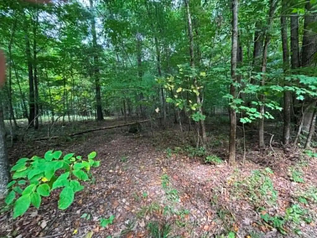 Photo 3 of Single family home for sale at N13638 Dickerson Ave, Thorp, WI 54771 | MLS# 1604680 | Listing updated on 2026-10-01