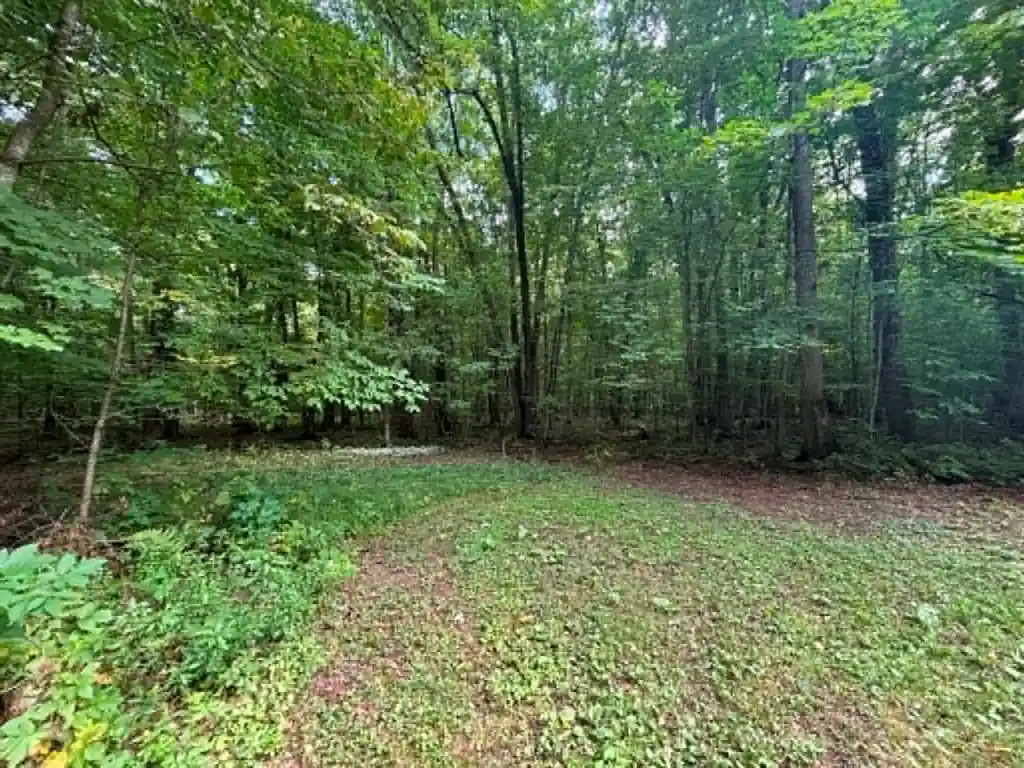Photo 4 of Single family home for sale at N13638 Dickerson Ave, Thorp, WI 54771 | MLS# 1604680 | Listing updated on 2026-10-01