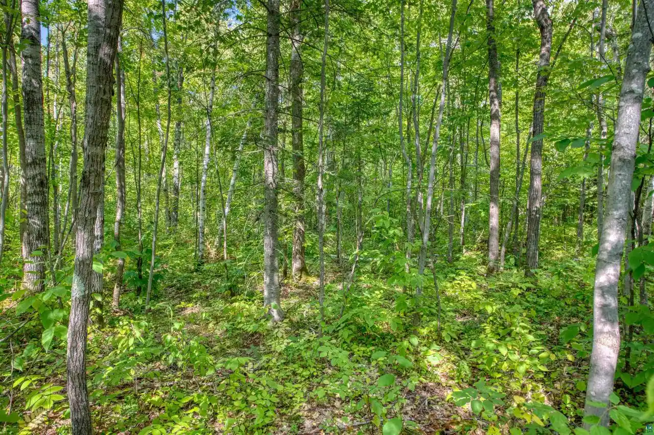 Photo 2 of Land for sale at Xxxx1 Church Cor Rd, Washburn, WI 54814 | MLS# 6127702 | Listing updated on 2026-08-31