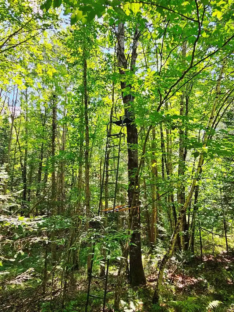 Photo 2 of Land for sale at W9468 Moonshine Hl Rd, Crivitz, WI 54114 | MLS# 50331950 | Listing updated on 2026-09-10