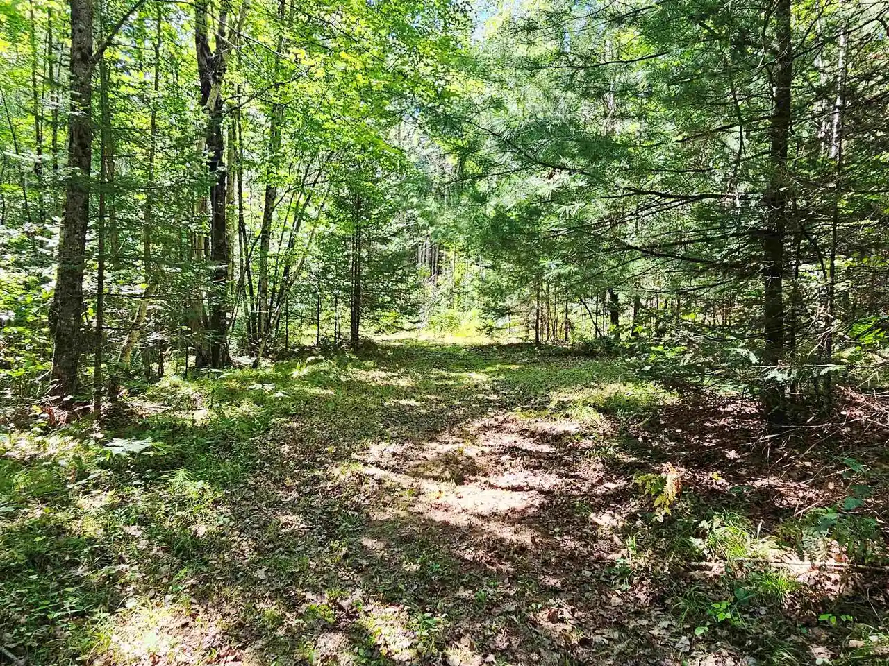 Photo 4 of Land for sale at W9468 Moonshine Hl Rd, Crivitz, WI 54114 | MLS# 50331950 | Listing updated on 2026-09-10