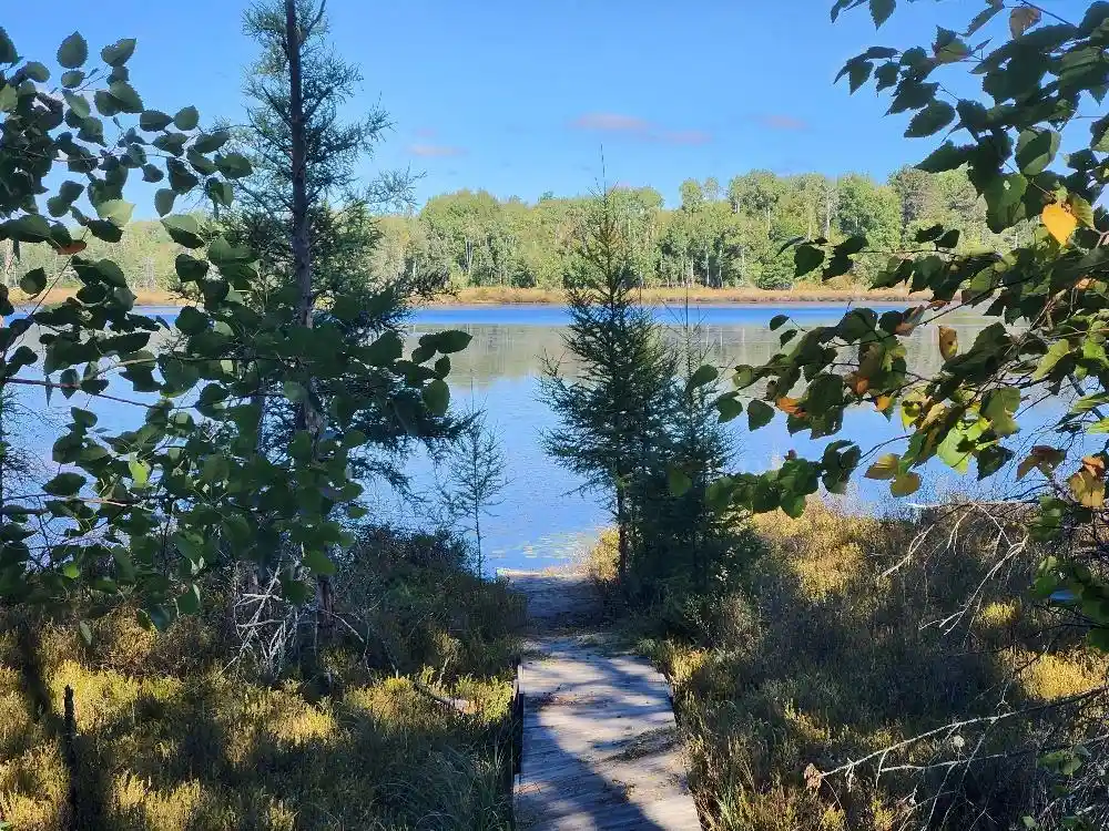Photo 3 of Land for sale at On Grand Pines Dr #Lot 3, Tomahawk, WI 54487 | MLS# 22604303 | Listing updated on 2026-09-24