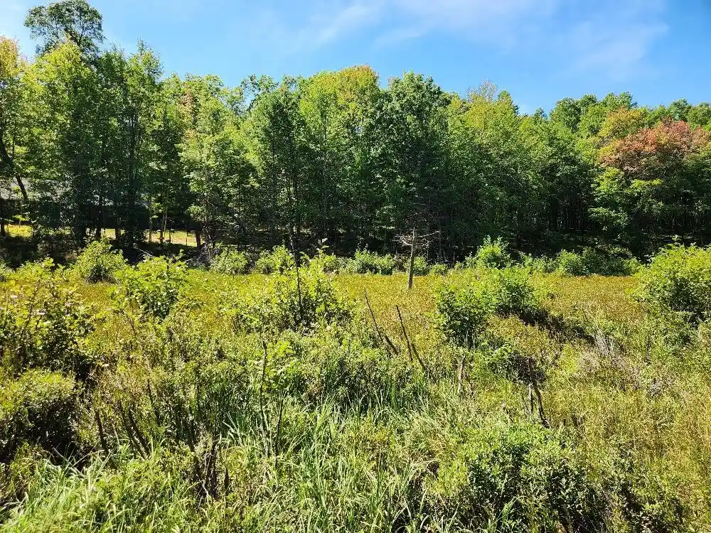 Photo 8 of Land for sale at On Grand Pines Dr #Lot 3, Tomahawk, WI 54487 | MLS# 22604303 | Listing updated on 2026-09-03