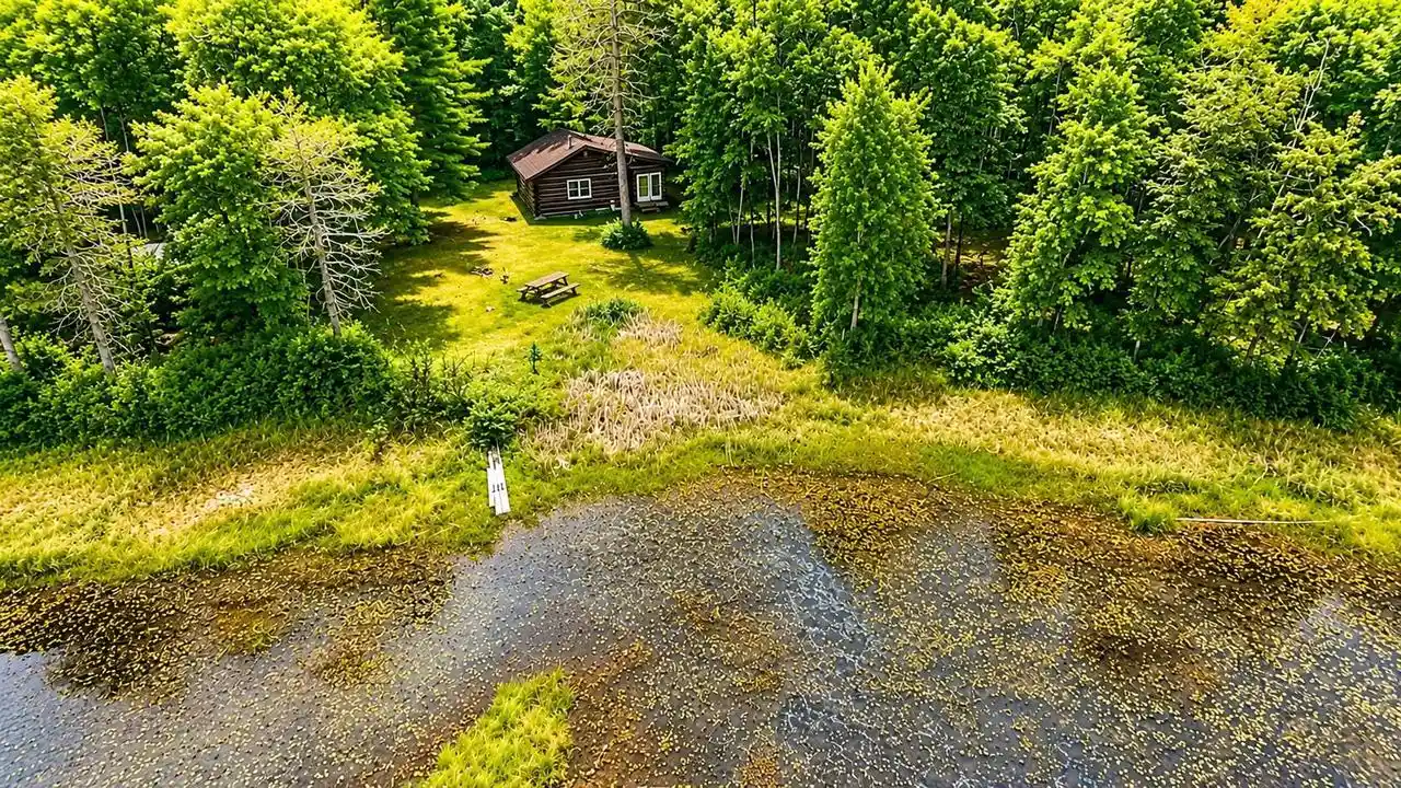 Photo 1 of Land for sale at W9460 One Mile Rd, Dunbar, WI 54119 | MLS# 50331989 | Listing updated on 2026-09-01