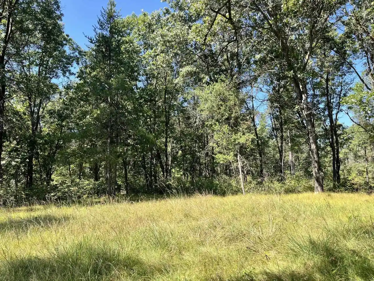 Photo 1 of Land for sale at 1123 15th Avenue, Arkdale, WI 54613 | MLS# 2031771 | Listing updated on 2026-09-19