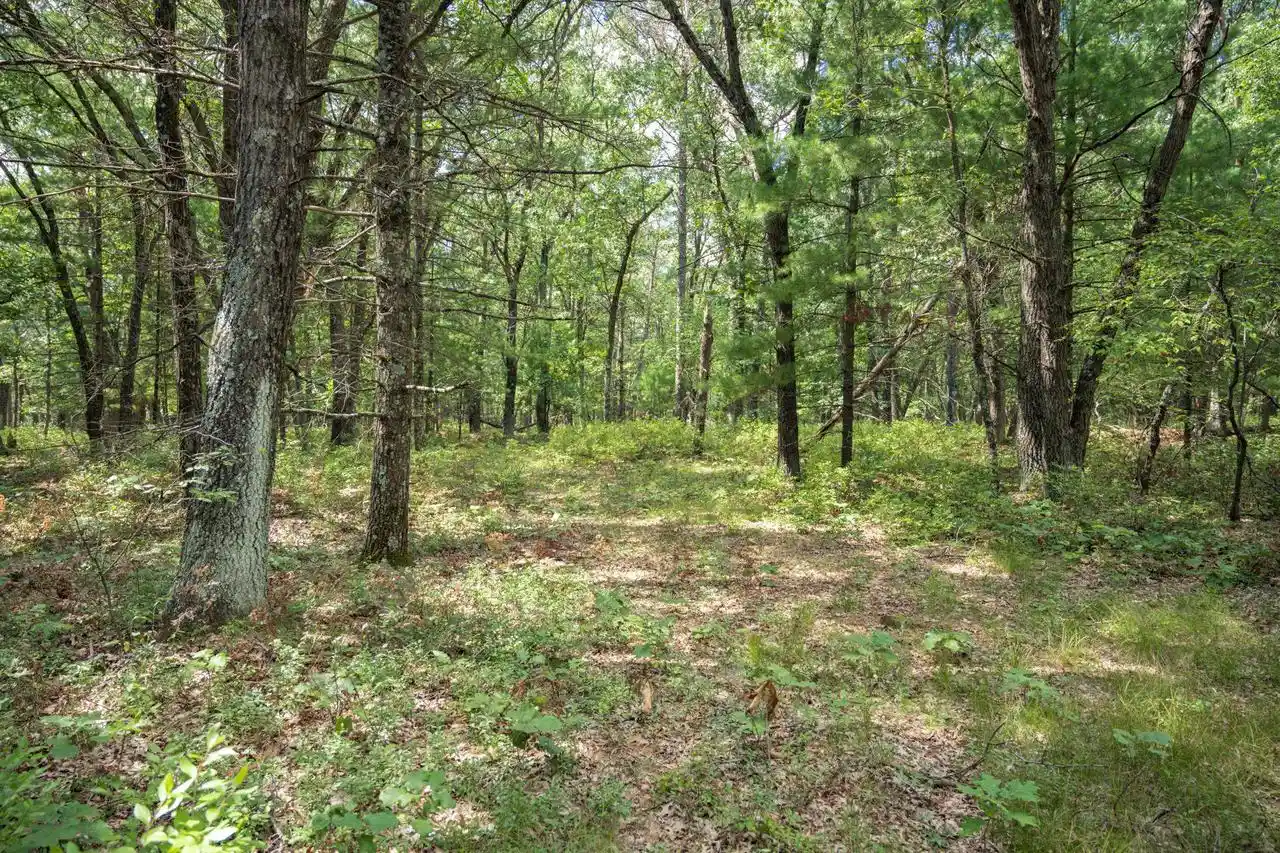 Photo 1 of Land for sale at 1636 Acres 7th Ave, New Lisbon, WI 53950 | MLS# 2031776 | Listing updated on 2026-09-23
