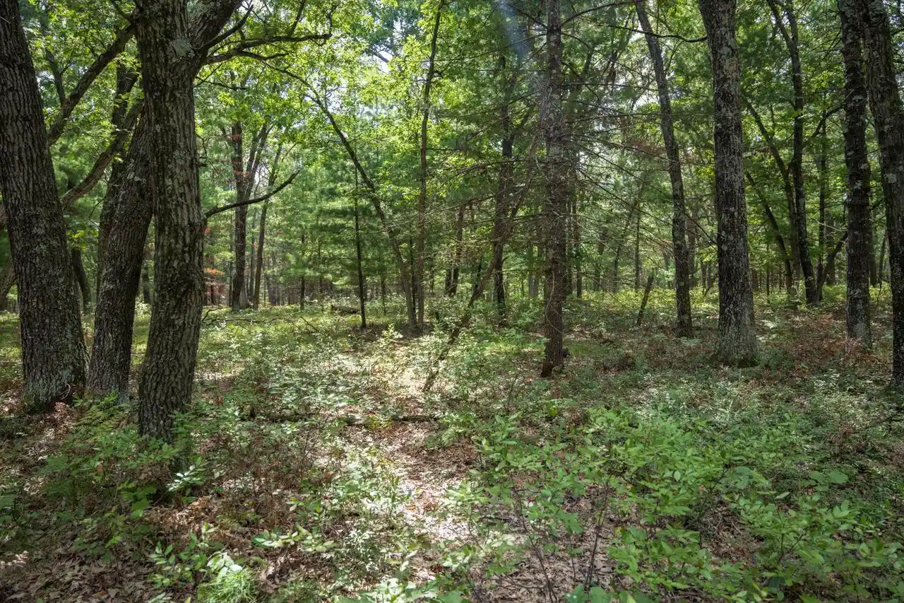 Photo 2 of Land for sale at 1636 Acres 7th Ave, New Lisbon, WI 53950 | MLS# 2031776 | Listing updated on 2026-09-23