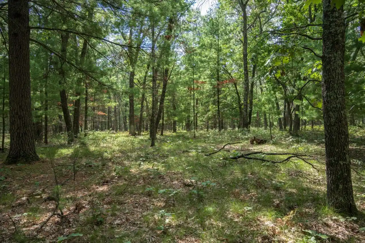 Photo 3 of Land for sale at 1636 Acres 7th Ave, New Lisbon, WI 53950 | MLS# 2031776 | Listing updated on 2026-09-23
