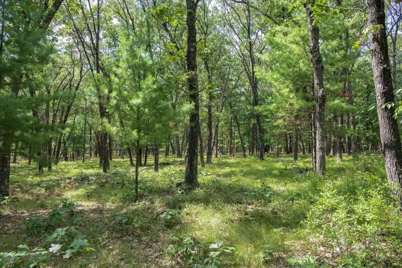 Photo 3 of Land for sale at 1636 Acres 7th Ave, New Lisbon, WI 53950 | MLS# 2031776 | Listing updated on 2026-09-23