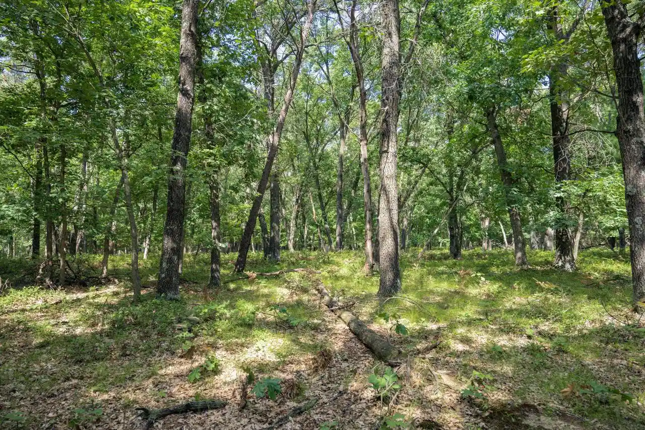 Photo 4 of Land for sale at 1636 Acres 7th Ave, New Lisbon, WI 53950 | MLS# 2031776 | Listing updated on 2026-09-23
