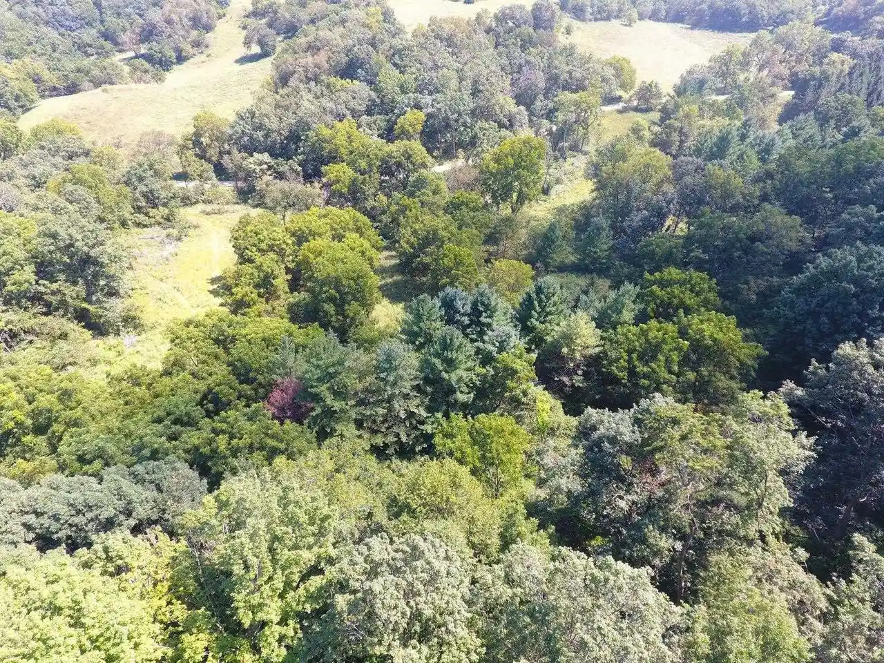Photo 3 of Land for sale at 2675 +/- Acres Nels Rd, Highland, WI 53543 | MLS# 2031792 | Listing updated on 2026-09-03