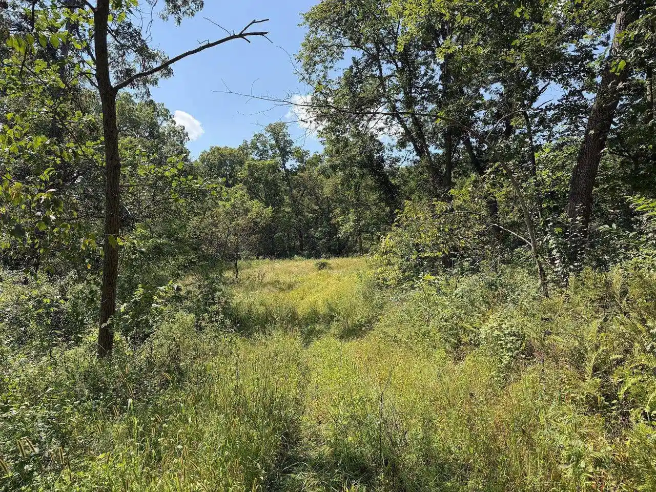 Photo 4 of Land for sale at 2675 +/- Acres Nels Rd, Highland, WI 53543 | MLS# 2031792 | Listing updated on 2026-09-03