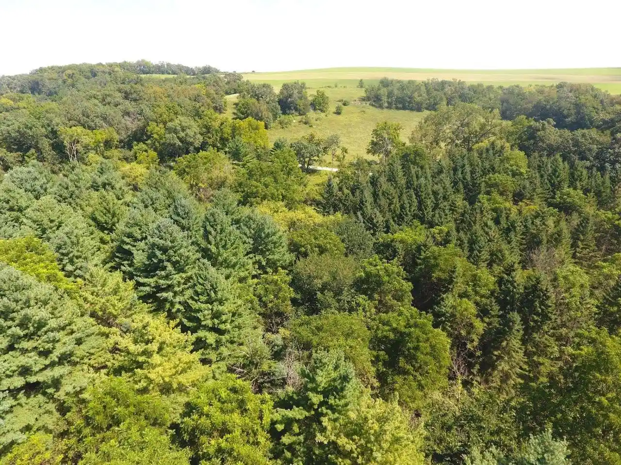 Photo 44 of Land for sale at 2675 +/- Acres Nels Rd, Highland, WI 53543 | MLS# 2031792 | Listing updated on 2026-09-03
