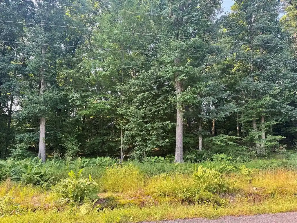 Photo 1 of Land for sale at ### Oak Dr, Fairchild, WI 54741 | MLS# 1604775 | Listing updated on 2026-09-01