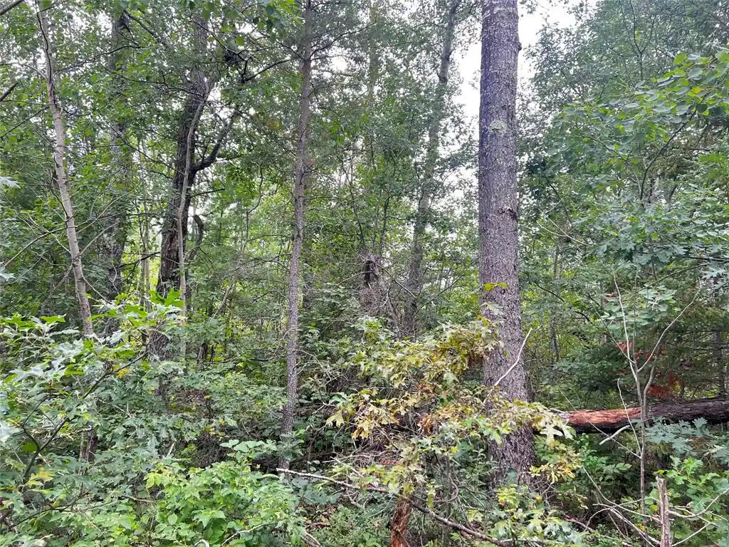 Photo 2 of Land for sale at 0 County Rd T, Minong, WI 54838 | MLS# 1604721 | Listing updated on 2026-09-02