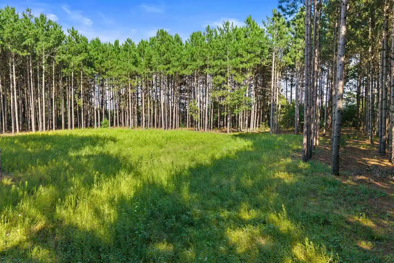 Photo 4 of Land for sale at Lot 41 23rd Avenue, Nekoosa, WI 54457 | MLS# 2031819 | Listing updated on 2026-09-02
