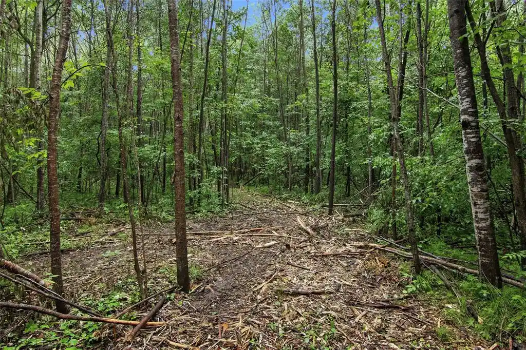 Photo 3 of Land for sale at Lot 1 4th Street, Clayton, WI 54004 | MLS# 1604742 | Listing updated on 2026-09-17