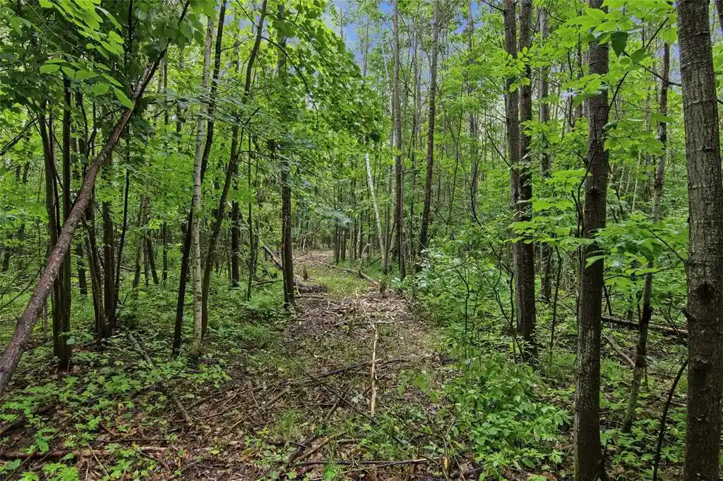 Photo 4 of Land for sale at Lot 1 4th Street, Clayton, WI 54004 | MLS# 1604742 | Listing updated on 2026-09-17