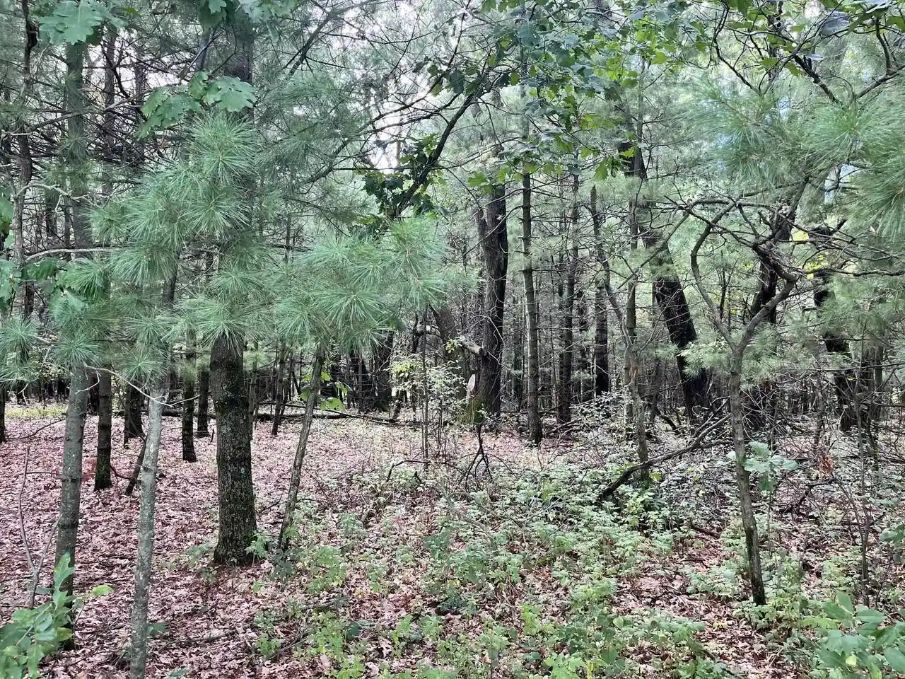 Photo 3 of Land for sale at 279 Czech Ave, Friendship, WI 53934 | MLS# 2031837 | Listing updated on 2026-09-09