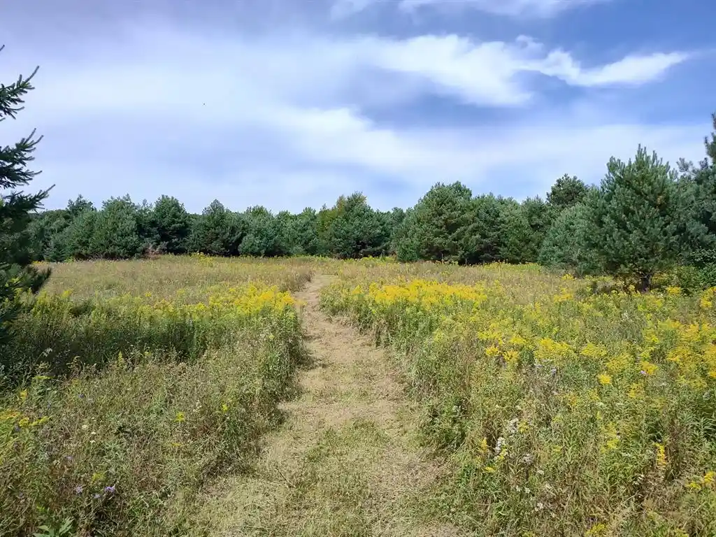 Photo 1 of Sale Pending at Lot 2 211th Street, Centuria, WI 54824 | MLS# 1604788 | Listing updated on 2026-09-03