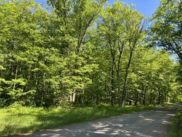 Photo 2 of Land for sale at La Fave Dr, Fence, WI 54120 | MLS# 50332041 | Listing updated on 2026-09-09