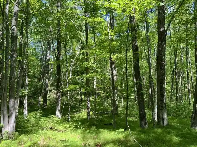 Photo 3 of Land for sale at La Fave Dr, Fence, WI 54120 | MLS# 50332041 | Listing updated on 2026-09-09