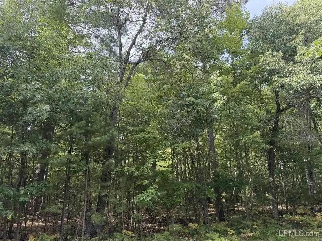 Photo 2 of Land for sale at Silver Shrs Ln, Eagle River, WI 54521 | MLS# 50332042 | Listing updated on 2026-09-02