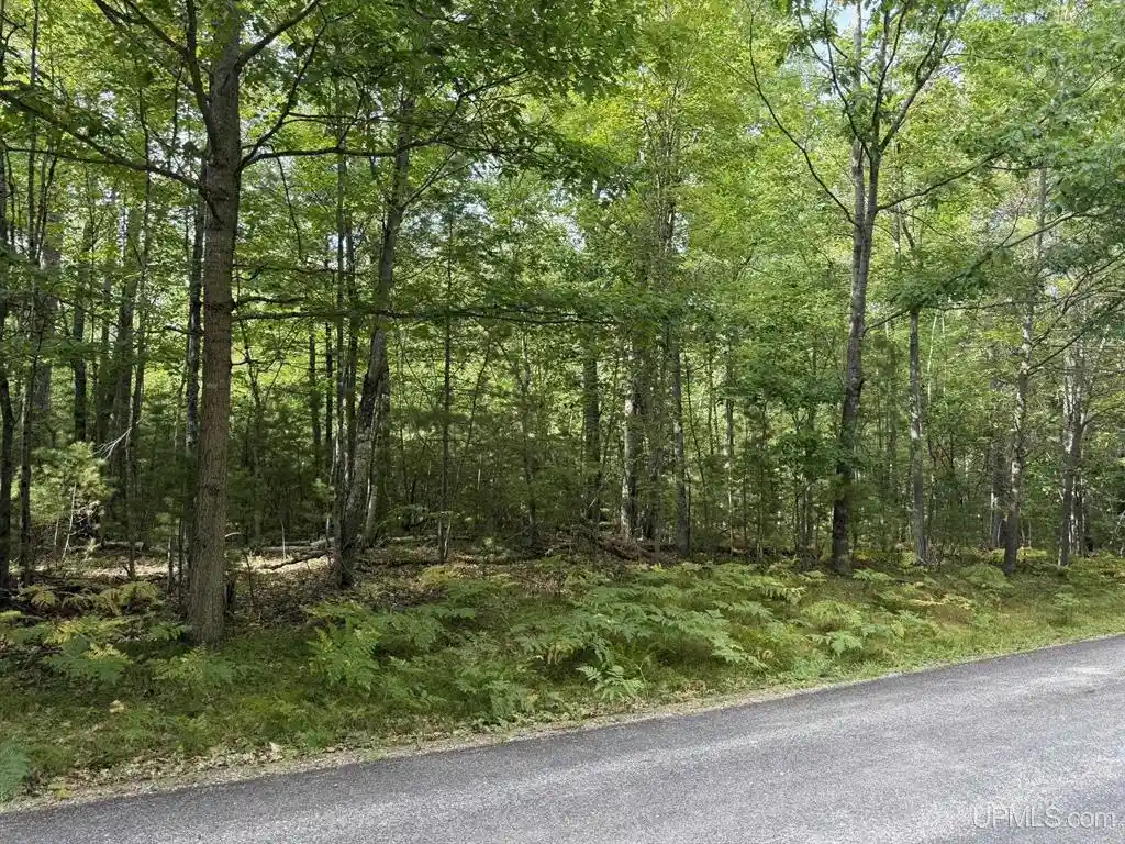 Photo 2 of Land for sale at Silver Shrs Ln, Eagle River, WI 54521 | MLS# 50332042 | Listing updated on 2026-09-02