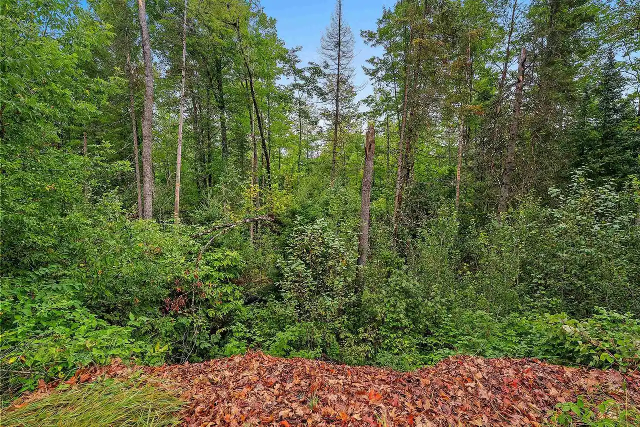 Photo 2 of Single family home for sale at W7294 County Rd Z, Pembine, WI 54156 | MLS# 50332048 | Listing updated on 2026-09-08