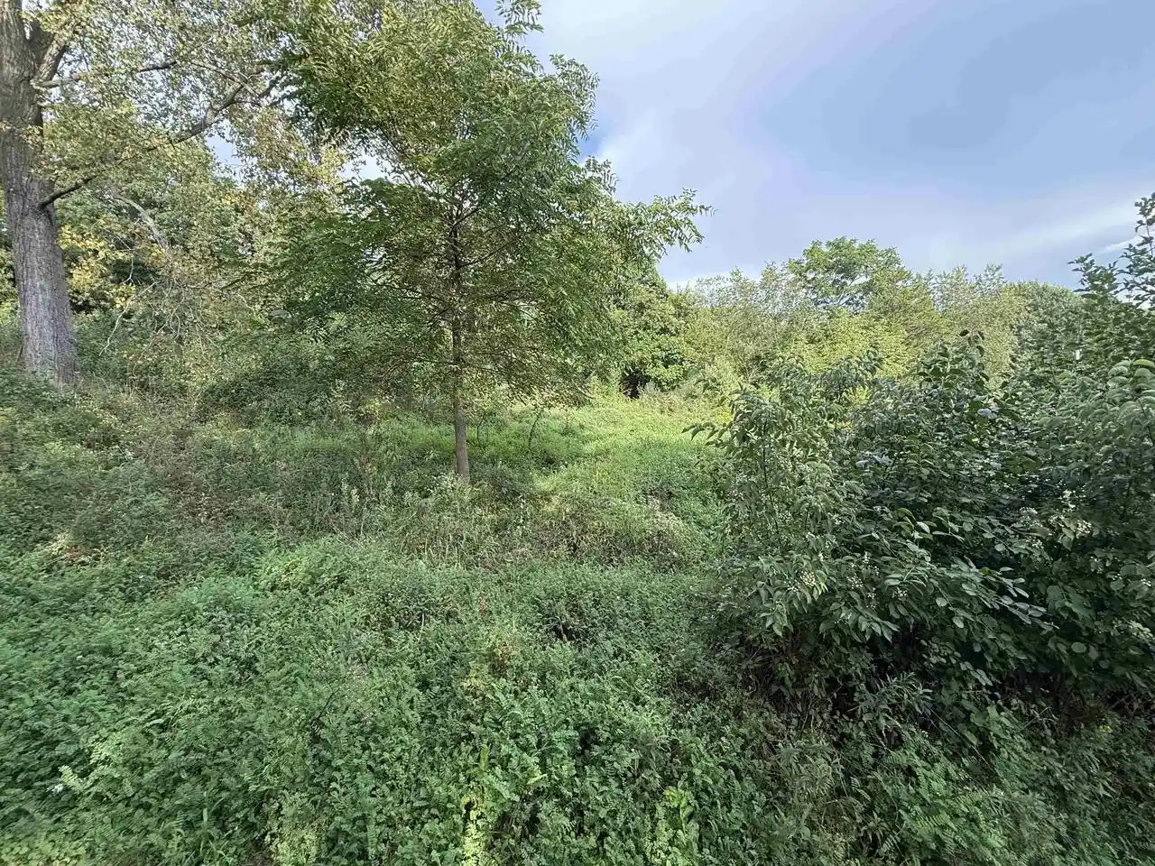 Photo 4 of Land for sale at 1480 Winnebago Cir, Baraboo, WI 53913 | MLS# 2031851 | Listing updated on 2026-09-03