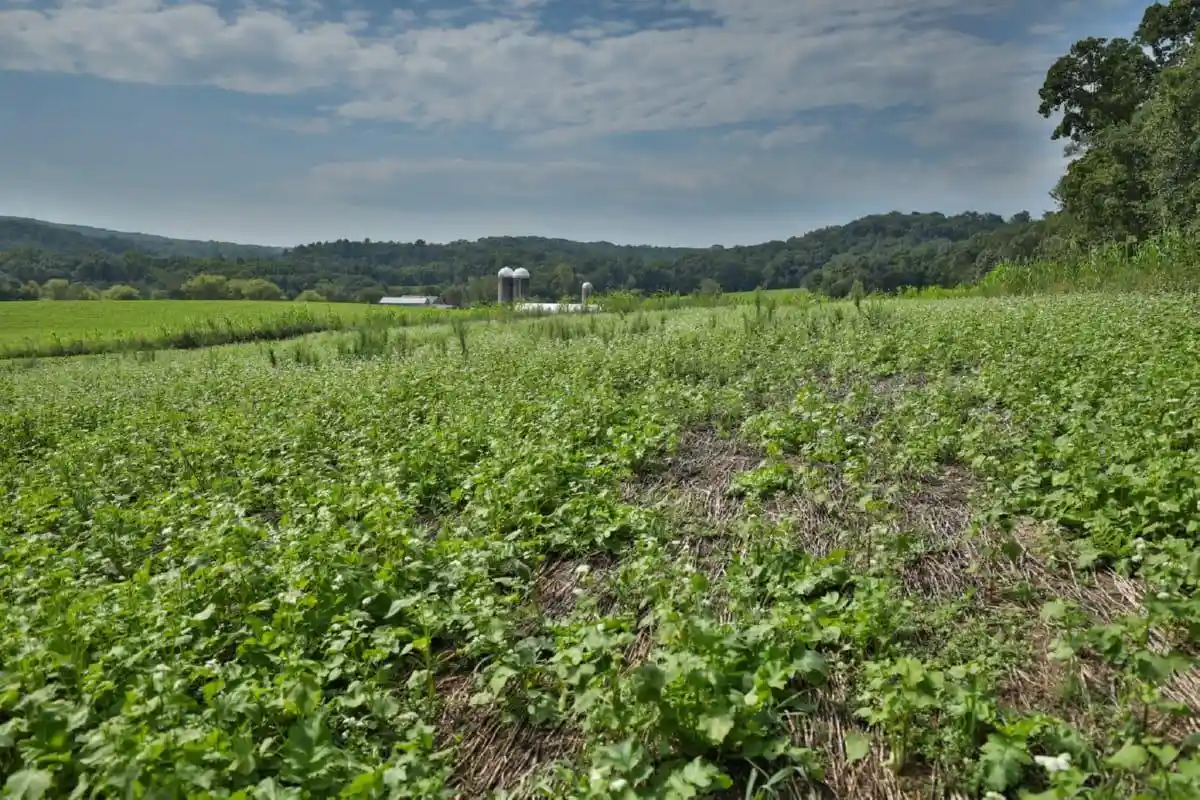 Photo 3 of Sale Pending at 000 County Rd K, Blue Mounds, WI 53517 | MLS# 2031869 | Listing updated on 2026-10-05