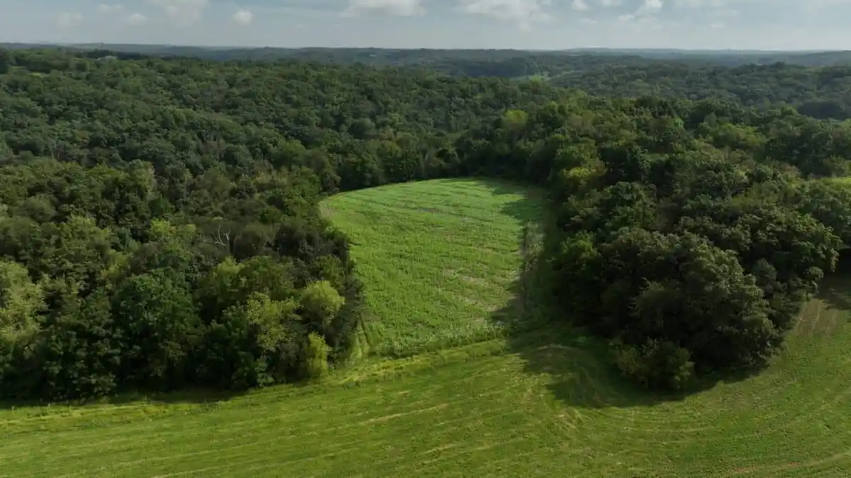 Photo 4 of Sale Pending at 000 County Rd K, Blue Mounds, WI 53517 | MLS# 2031869 | Listing updated on 2026-10-05