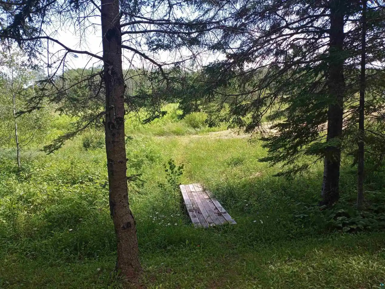Photo 6 of Sale Pending at Xxxx Mcinerney Rd, Herbster, WI 54844 | MLS# 6127752 | Listing updated on 2026-09-10