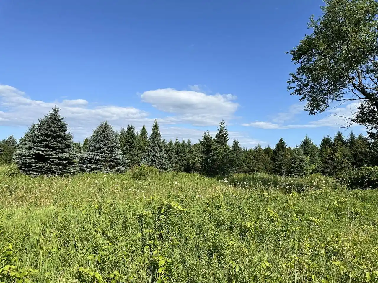 Photo 2 of Land for sale at Ea36240000 State Line Rd, Walworth, WI 53184 | MLS# 1978885 | Listing updated on 2026-09-25