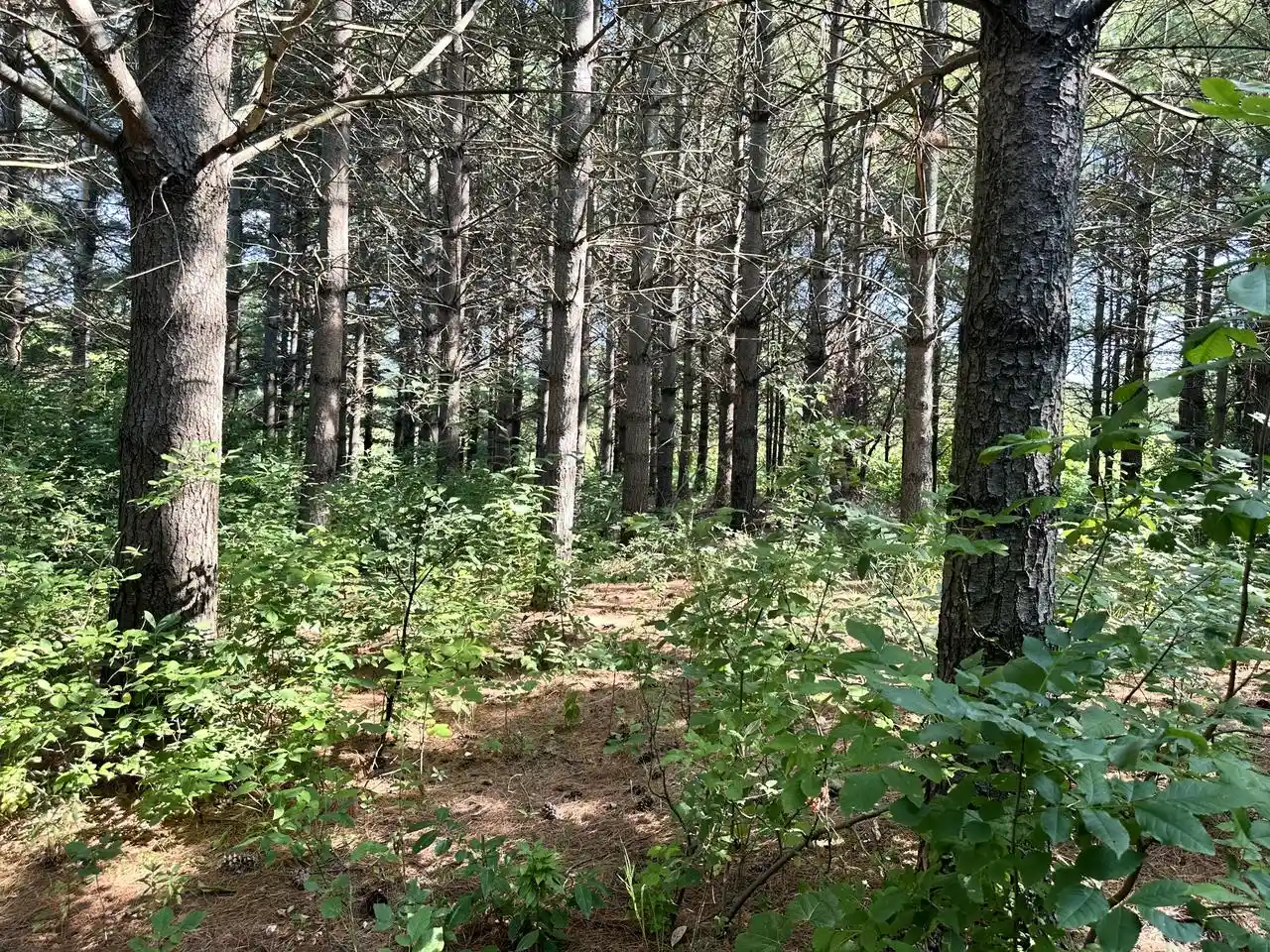 Photo 3 of Land for sale at Ea36240000 State Line Rd, Walworth, WI 53184 | MLS# 1978885 | Listing updated on 2026-09-25