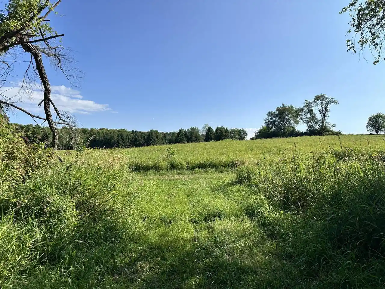 Photo 3 of Land for sale at Ea36240000 State Line Rd, Walworth, WI 53184 | MLS# 1978885 | Listing updated on 2026-09-25