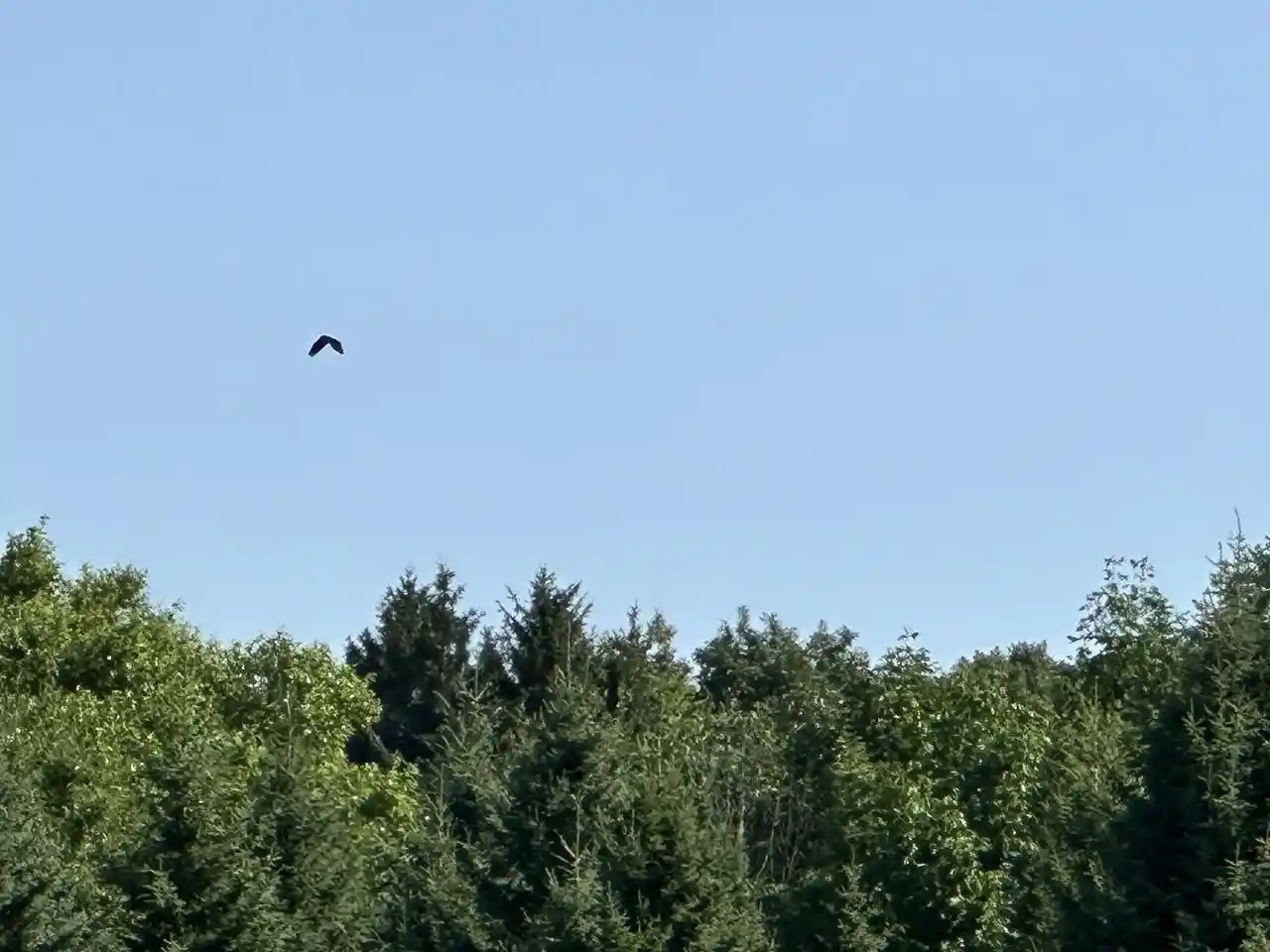 Photo 4 of Land for sale at Ea36240000 State Line Rd, Walworth, WI 53184 | MLS# 1978885 | Listing updated on 2026-09-25