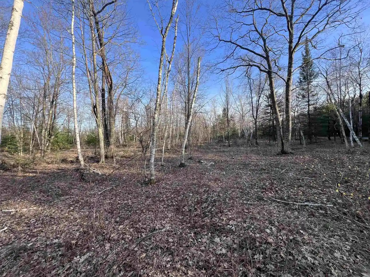 Photo 3 of Sale Pending at Nejedlo Rd, Wausaukee, WI 54177 | MLS# 50332102 | Listing updated on 2026-09-11