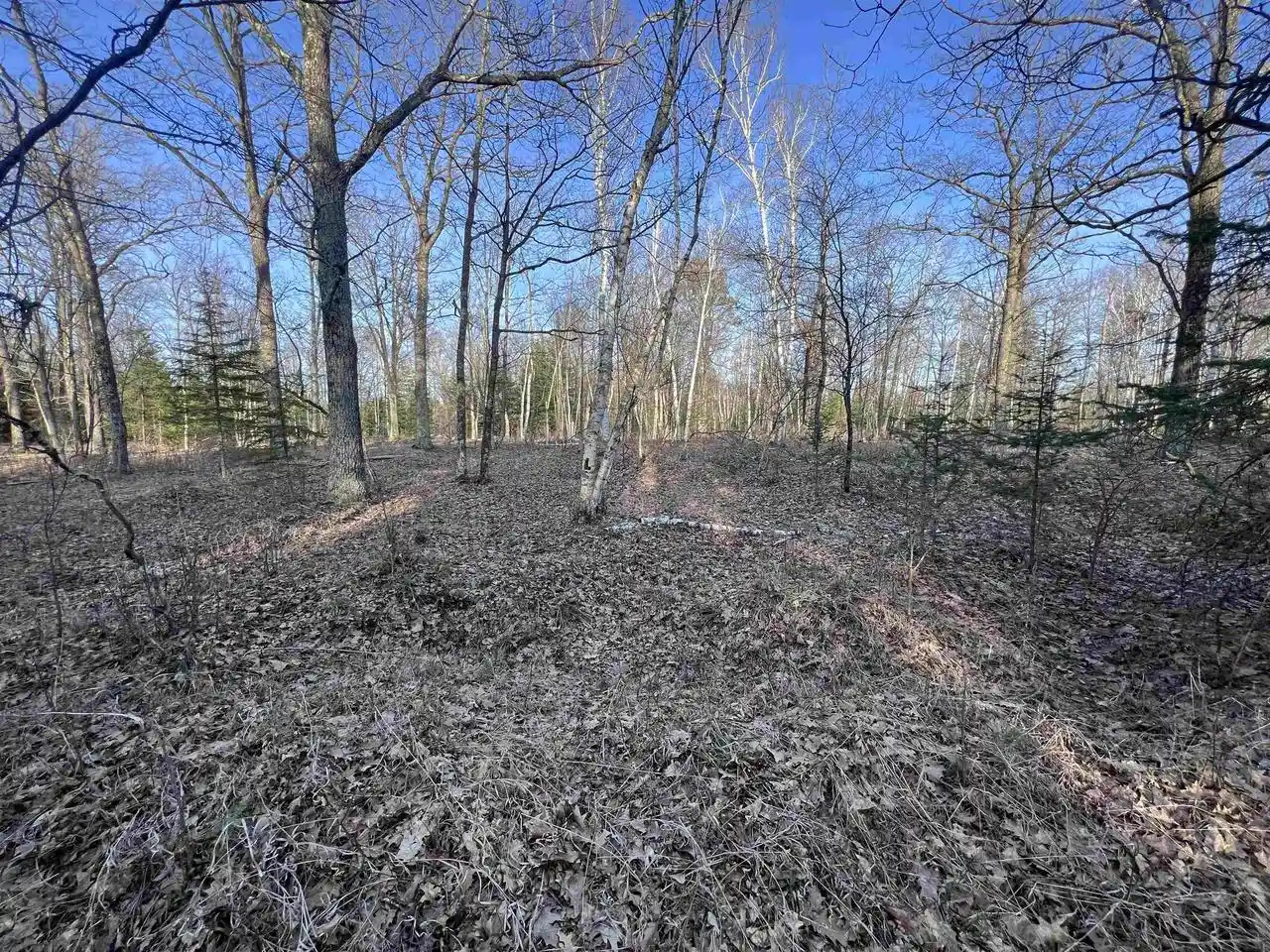 Photo 3 of Sale Pending at Nejedlo Rd, Wausaukee, WI 54177 | MLS# 50332102 | Listing updated on 2026-09-11