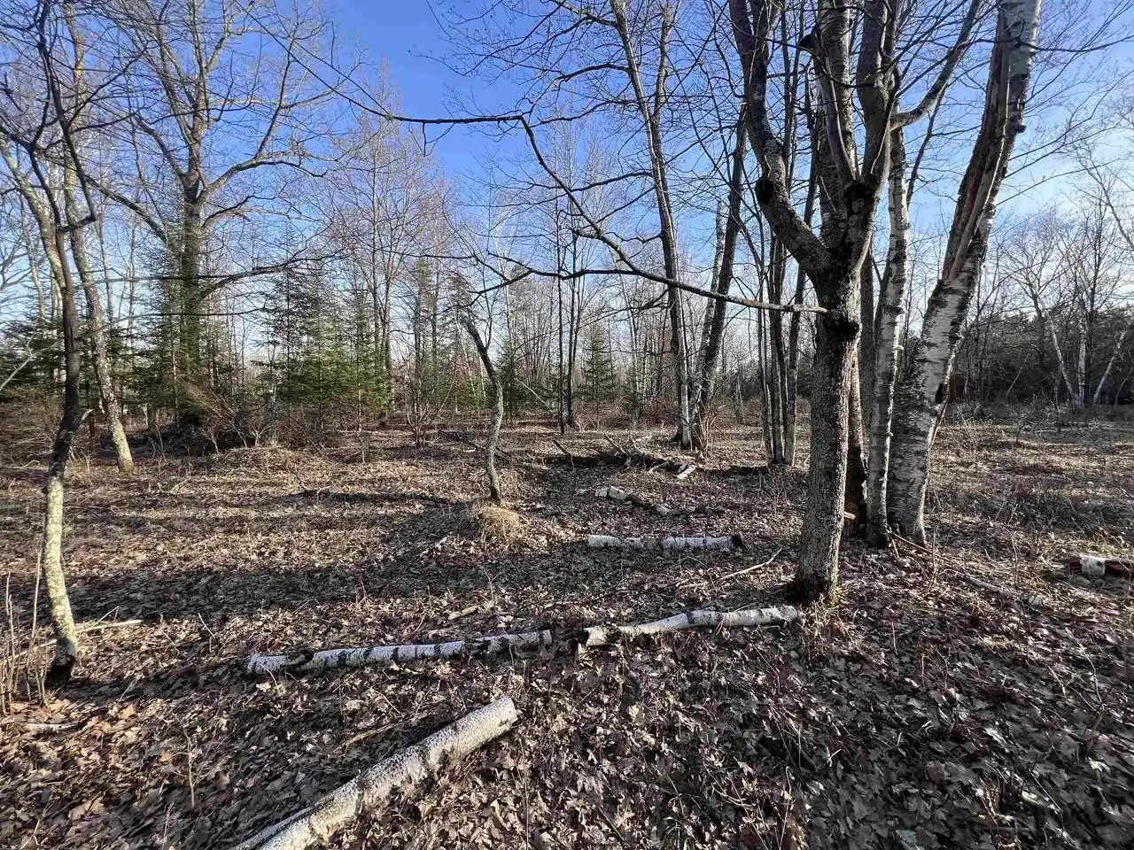 Photo 4 of Sale Pending at Nejedlo Rd, Wausaukee, WI 54177 | MLS# 50332102 | Listing updated on 2026-09-11
