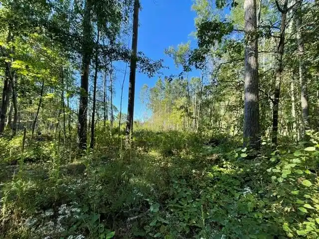 Photo 2 of Land for sale at 0 Mack Lake Rd, Trego, WI 54888 | MLS# 1604809 | Listing updated on 2026-09-03