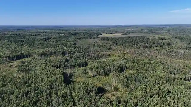 Photo 4 of Land for sale at 0 Mack Lake Rd, Trego, WI 54888 | MLS# 1604809 | Listing updated on 2026-09-03