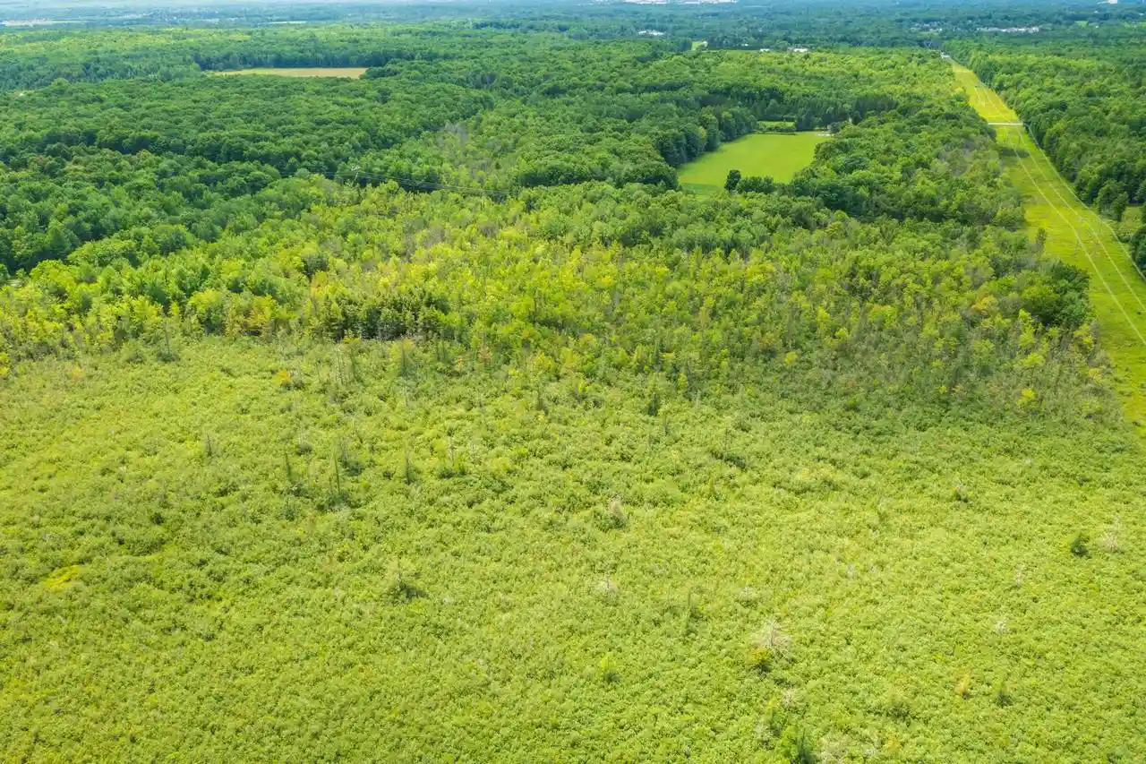 Photo 2 of Land for sale at 40 Acres Shorey Ave, Weston, WI 54476 | MLS# 22604350 | Listing updated on 2026-09-03