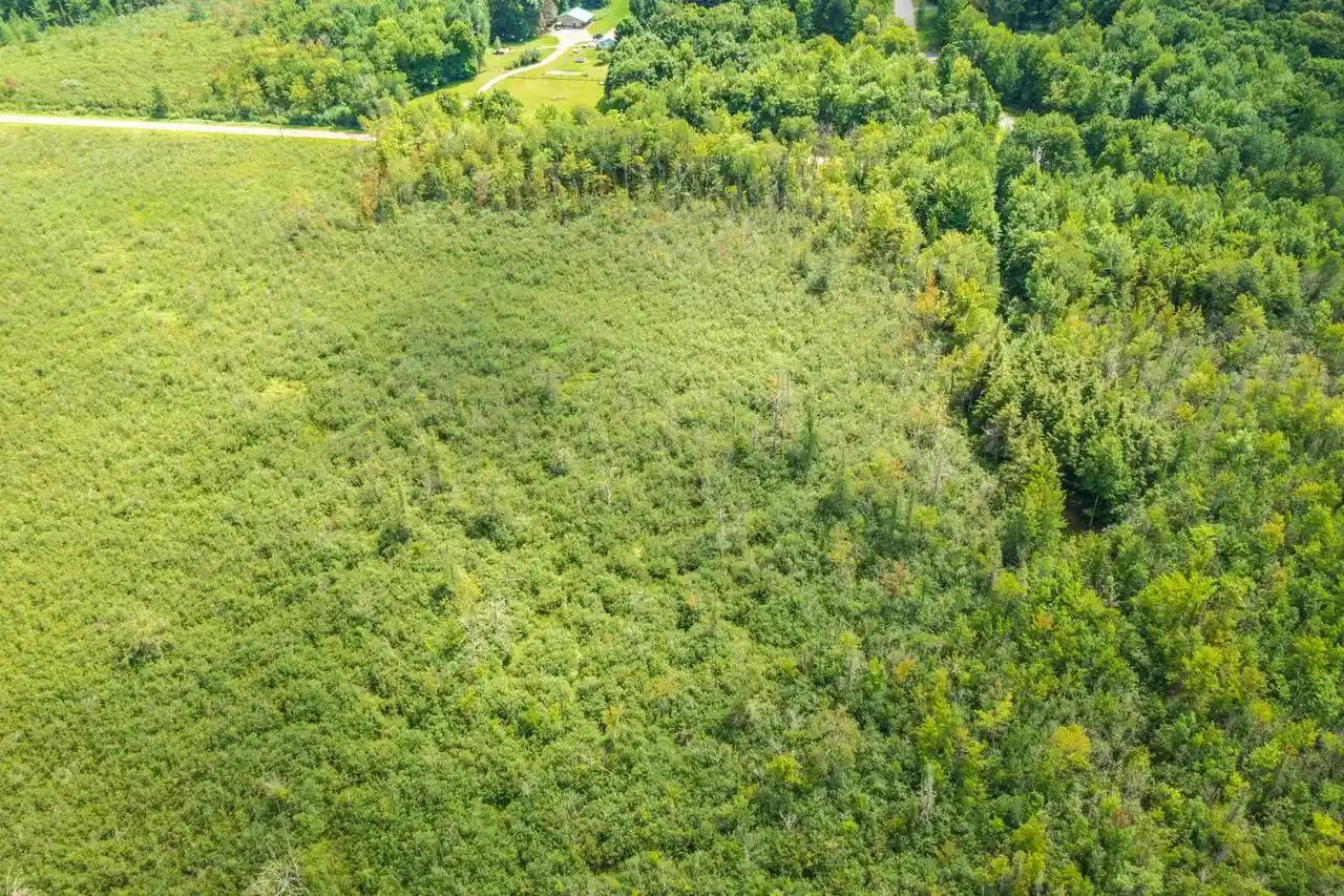 Photo 3 of Land for sale at 40 Acres Shorey Ave, Weston, WI 54476 | MLS# 22604350 | Listing updated on 2026-09-03